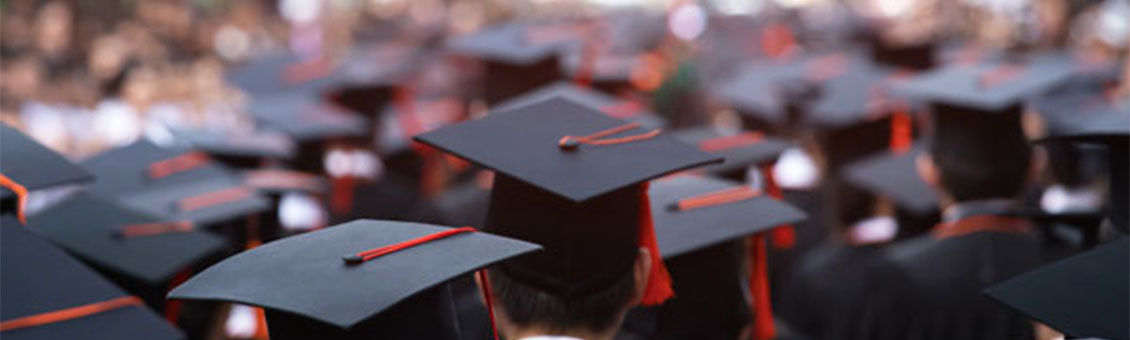 dual degree