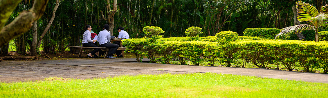 Visuel_Mauritius_2